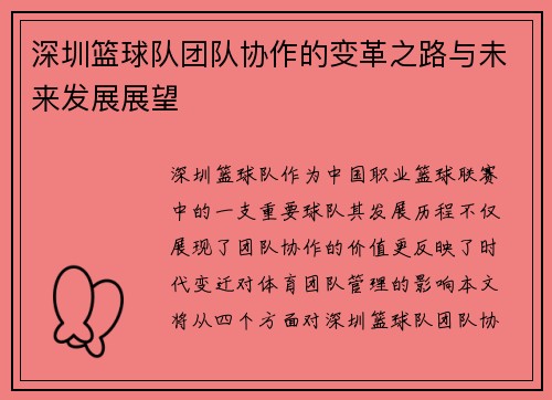 深圳篮球队团队协作的变革之路与未来发展展望